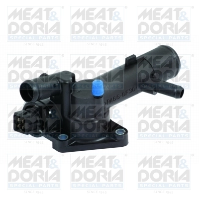 Thermostat, coolant